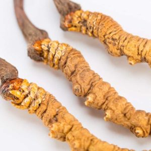 Cordyceps mushroom - Multiple studies show that cordyceps can lower blood glucose levels