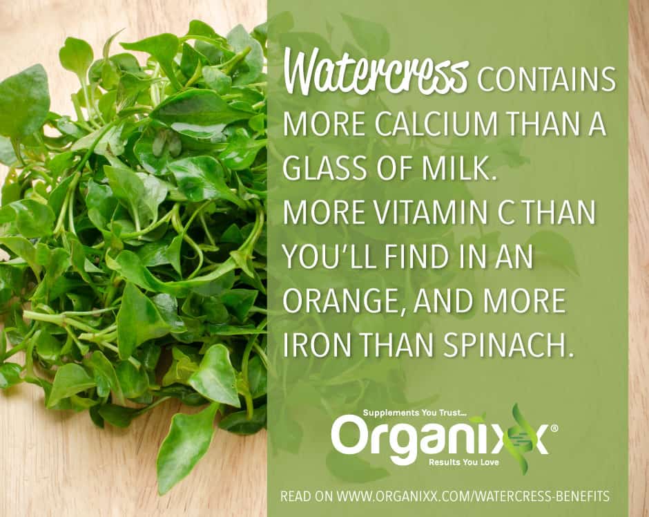 watercress benefits inforgraphic