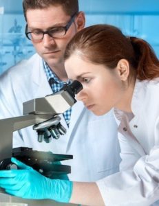 Scientists study gut bacteria