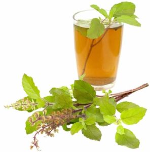 The Physical Healing Power of Holy Basil