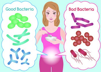 Why Fermentation is Good For Your Body