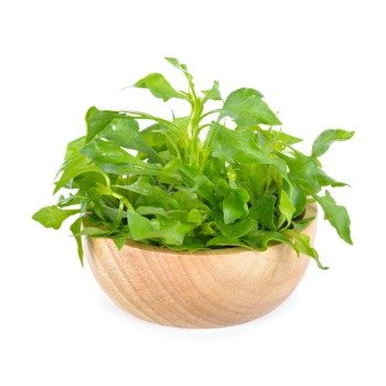 fresh watercress in wooden bowl