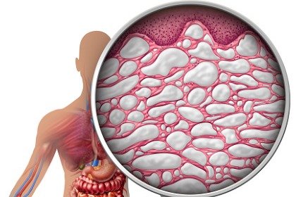 close up of interstitium
