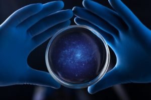 gloved hands holding a petri dish