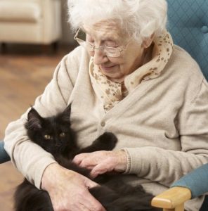 older adults are at increased risk of developing vitamin D insufficiency