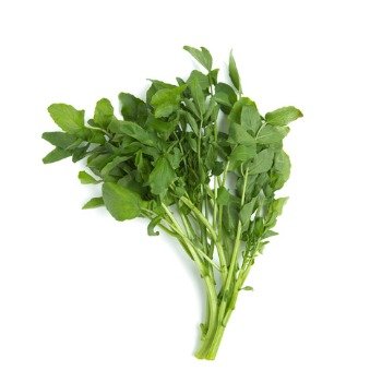 Watercress Gets Top Marks as a Superfood